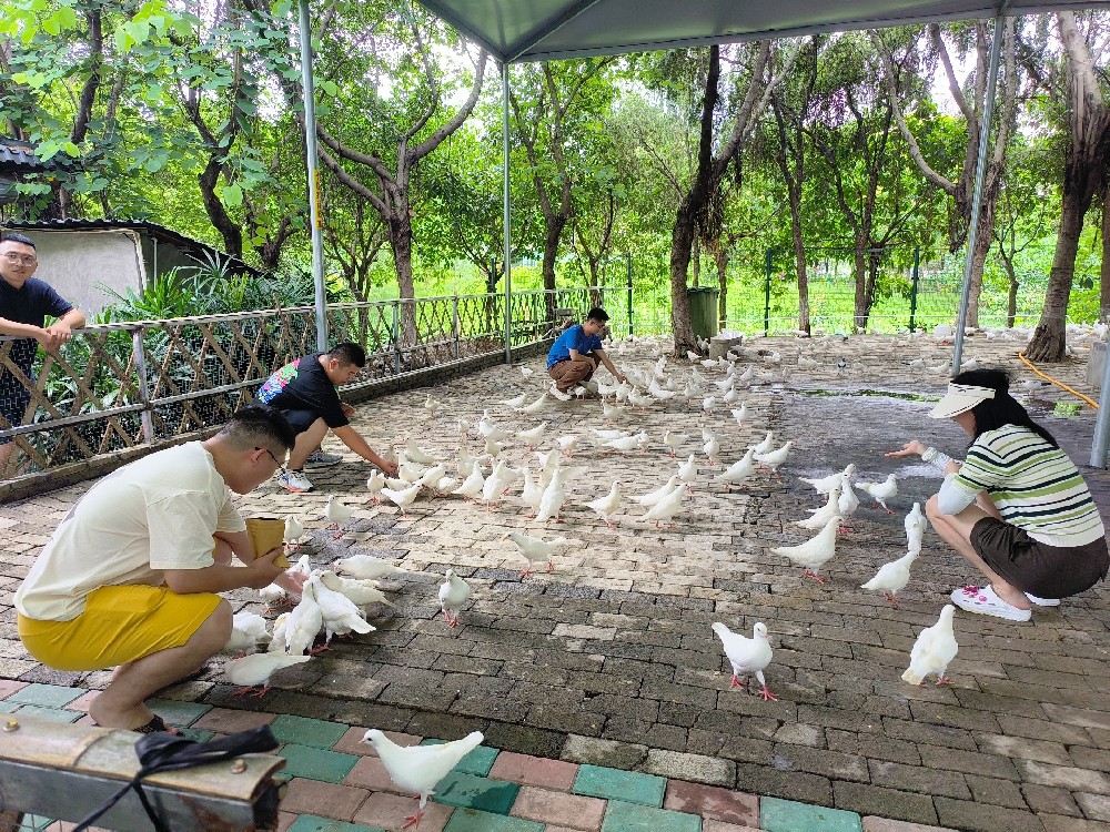 清涼一夏，清遠漂流