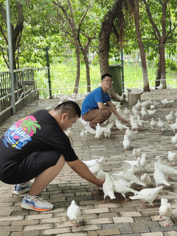 清涼一夏，清遠漂流