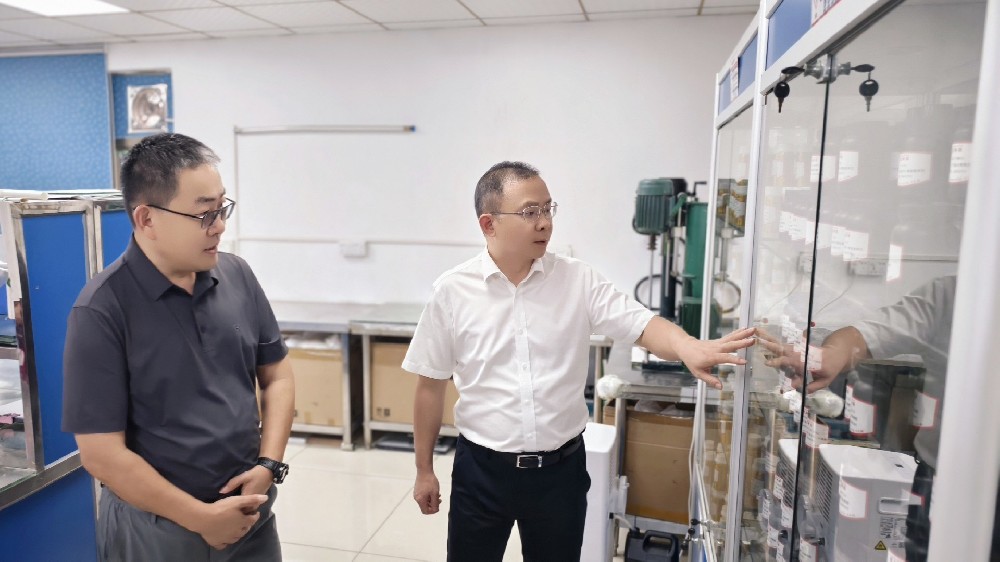 心系企業(yè)，情暖藍柯路——陳鎮(zhèn)長及鎮(zhèn)領(lǐng)導(dǎo)團隊親臨指導(dǎo)，共繪發(fā)展藍圖